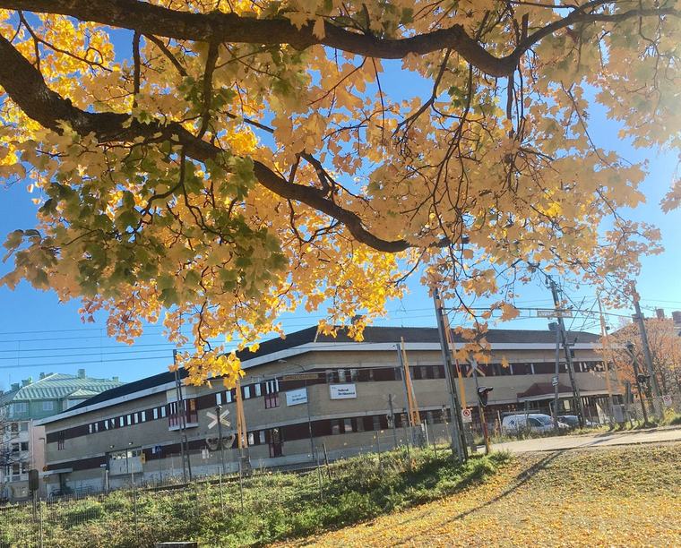 Därför kan bolagiseringen av hälsocentralerna bli en valfråga