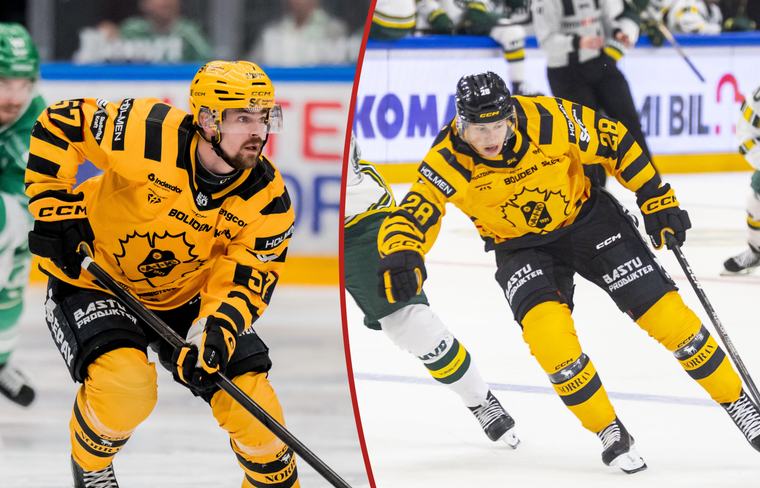 Skadeoro i Skellefteå inför CHL