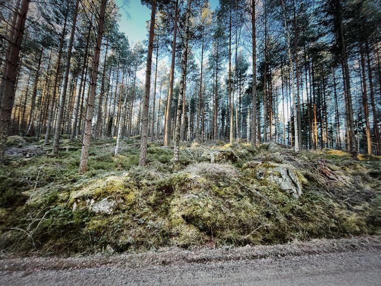 Varför ska jobb går före säkerheten?
