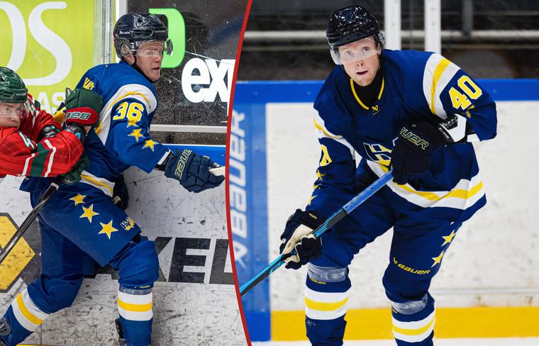 Dubbla skador i HV71 – missar träningsmatcherna
