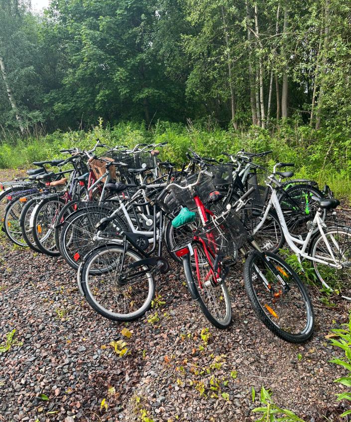 Stor cykelgömma i skogen – man döms för häleri