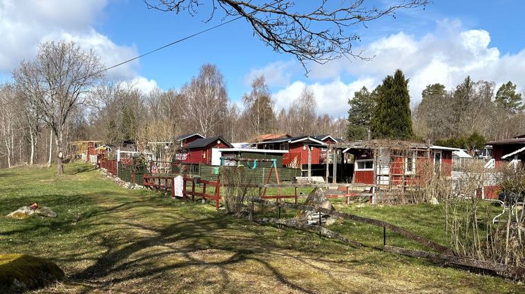 MP: Rädda koloniområdet vid Stora Orsjön i Olofström
