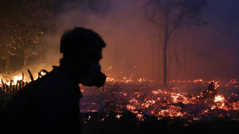 Orangutang räddad från rasande brand i Indonesien