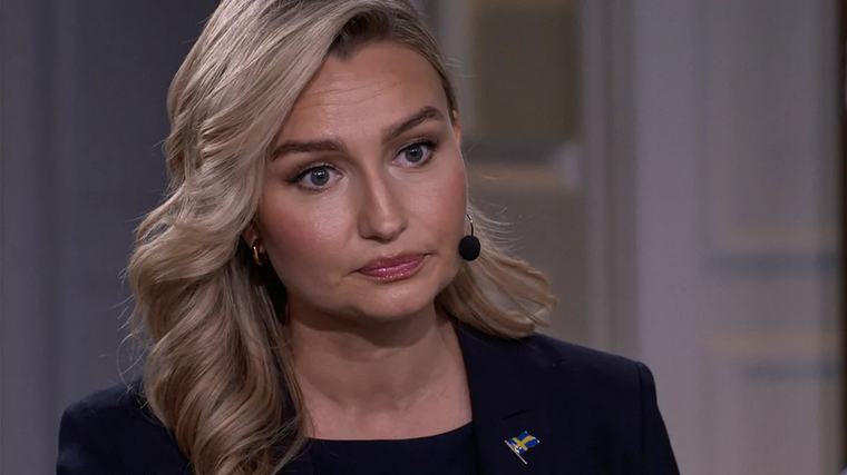 Busch om S: ”Blir inget stödhjul” Öppnar för samarbete i krisläge.