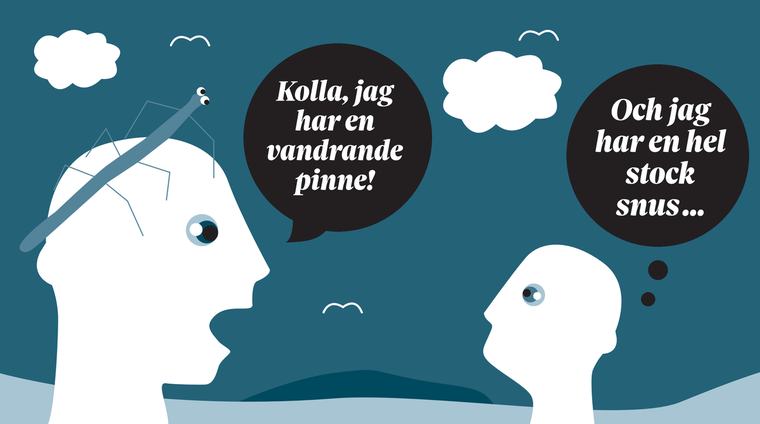 Quiz: Känner du igen insekten?