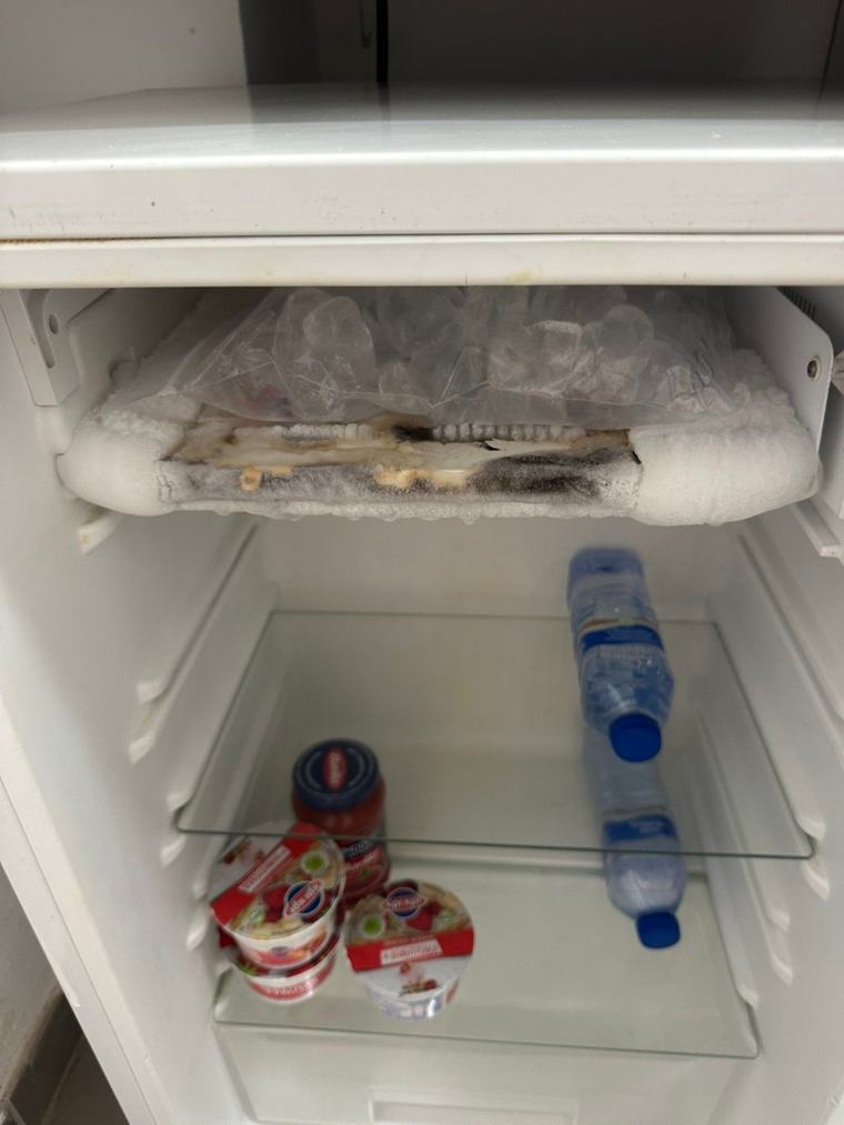 Kackerlackor och mögel – mardrömsboendet under festresan till Ayia Napa