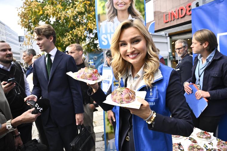 Vill äta köttbullar med S – men inte regera ihop