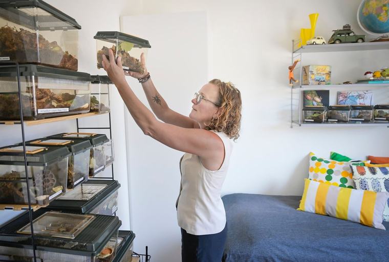 ”Gråsuggemorsan” Nina har huset fyllt av kryp