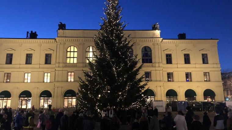 Kommunen efterlyser granna granar