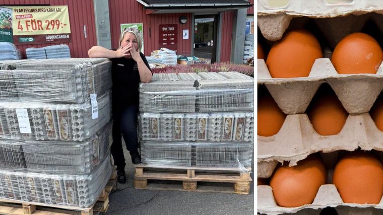 Ulrikas räknefel: Köpte 3 000 äggkartonger
