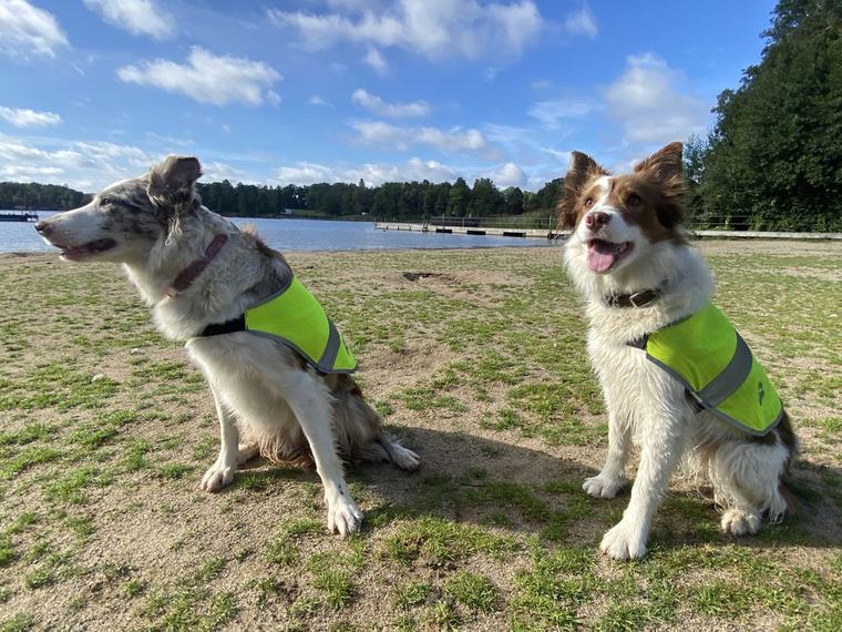 Här är hjältarna bakom bajsfri badsommar