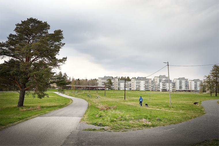 Varför säger C nej till Nya Remonthagen?