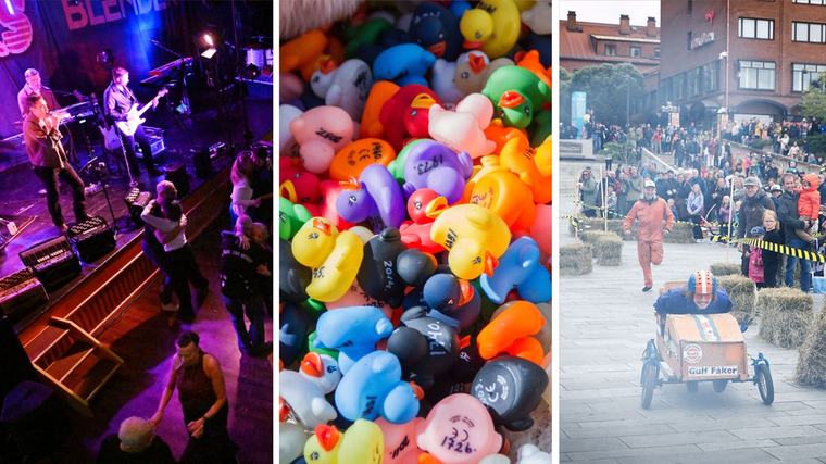 Det händer i veckan – dag för dag