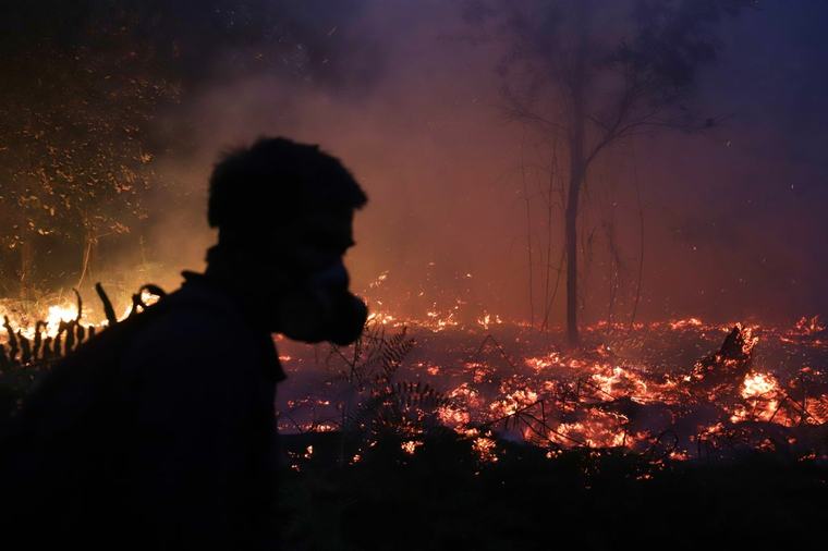 Orangutang räddad från rasande brand i Indonesien