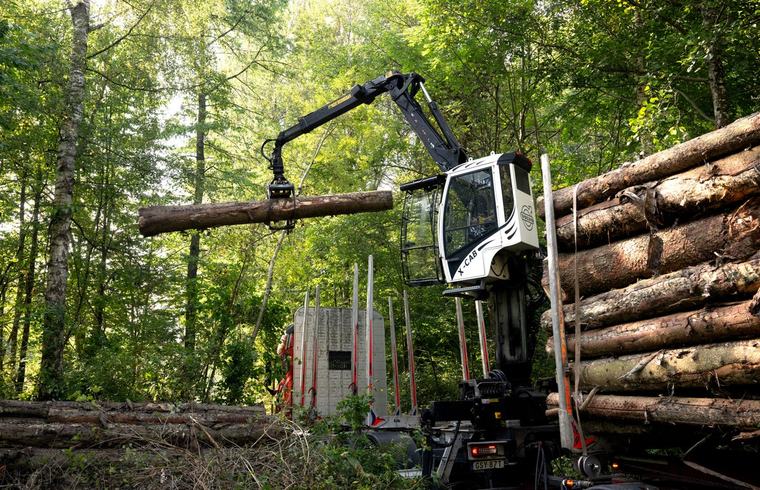 Stärk skogsnäringen – annars hotas jobb och omställning