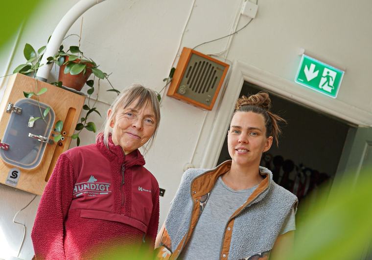 Även fyrfotade får smaka på Mark