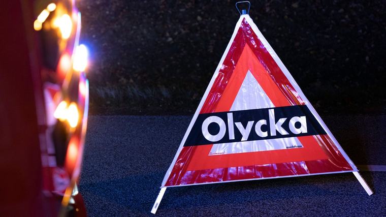Väjde för djur – hamnade i diket