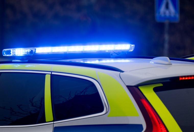 Bråk om kattunge – kvinna greps för grov misshandel
